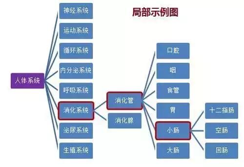 八大系统简图图片